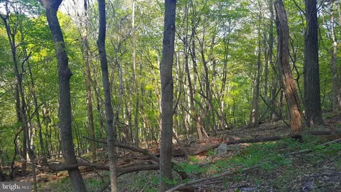 High View Road, Old Fields, WV 26845 photo 16