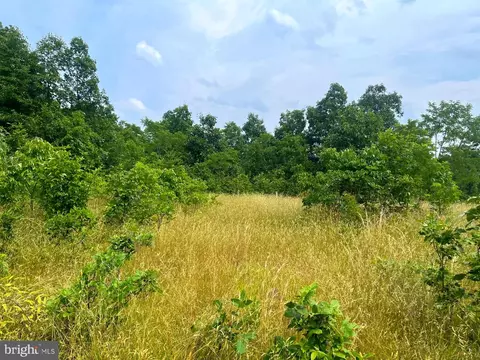 15 00 Ac Goldsborough Rd, Springfield, WV 26763