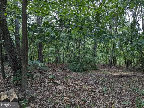 Tall Doe, Augusta, WV 26704