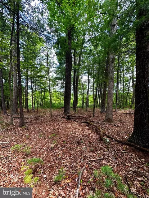 Lot 107 Mossy Oaks Road, Yellow Spring, WV 26865