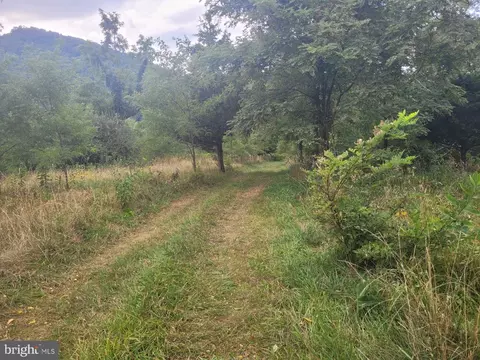 High View Rd Old Fields High View Rd, Old Fields, WV 26845 photo 37