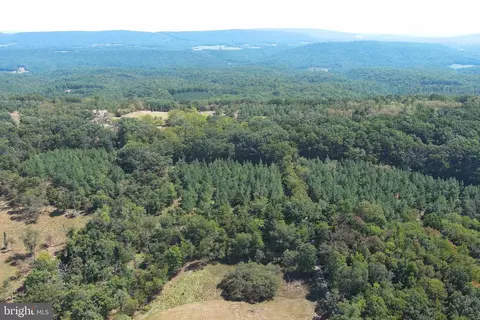 1426 Rowzee Rd, Points, WV 25437 photo 64