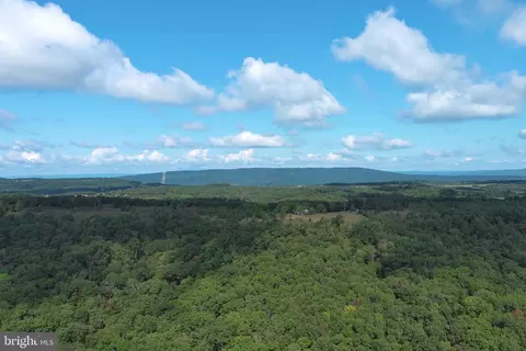 1426 Rowzee Rd, Points, WV 25437 photo 87