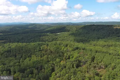 1426 Rowzee Rd, Points, WV 25437 photo 93