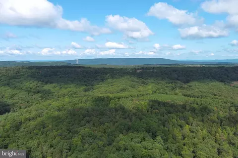 1426 Rowzee Rd, Points, WV 25437 photo 91