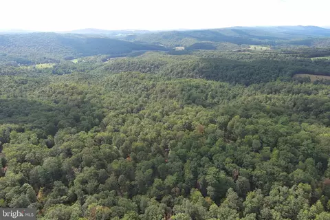 1426 Rowzee Rd, Points, WV 25437 photo 97