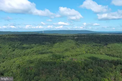 1426 Rowzee Rd, Points, WV 25437 photo 89