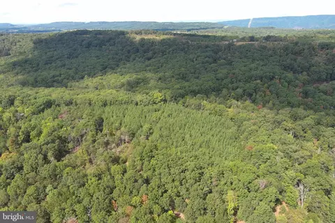 1426 Rowzee Rd, Points, WV 25437 photo 95