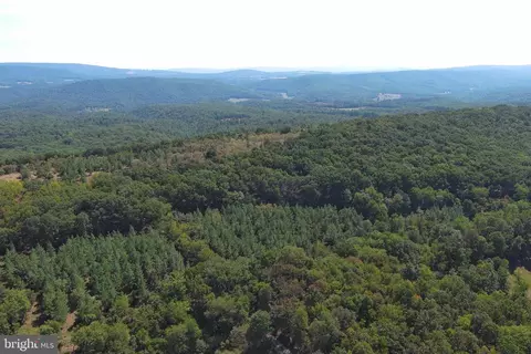1426 Rowzee Rd, Points, WV 25437 photo 65