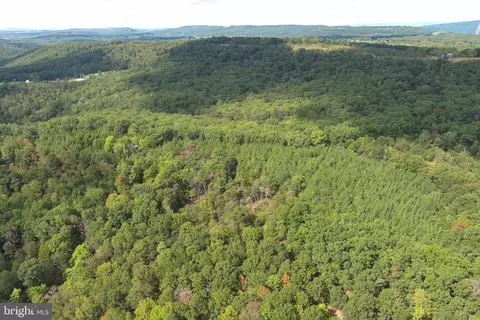 1426 Rowzee Rd, Points, WV 25437 photo 94