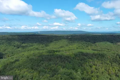 1426 Rowzee Rd, Points, WV 25437 photo 90