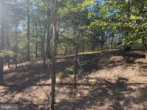 60 86 Roy Guinn Rd, Points, WV 25437 photo 10