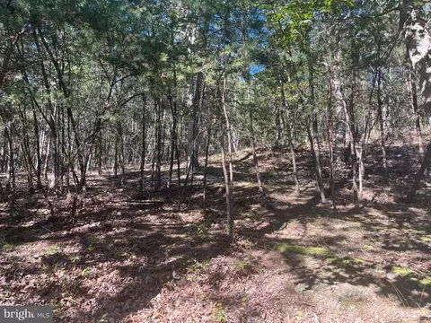 60 86 Roy Guinn Rd, Points, WV 25437 photo 11
