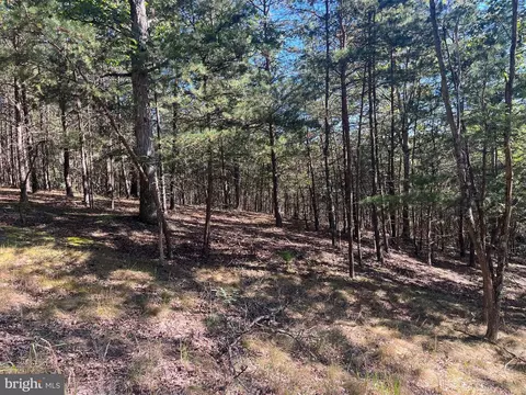 60 86 Roy Guinn Rd, Points, WV 25437 photo 9