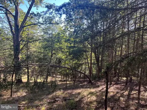 60 86 Roy Guinn Rd, Points, WV 25437 photo 7