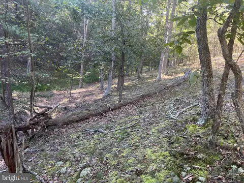 60 86 Roy Guinn Rd, Points, WV 25437 photo 12