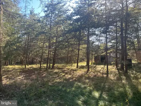 60 86 Roy Guinn Rd, Points, WV 25437 photo 19