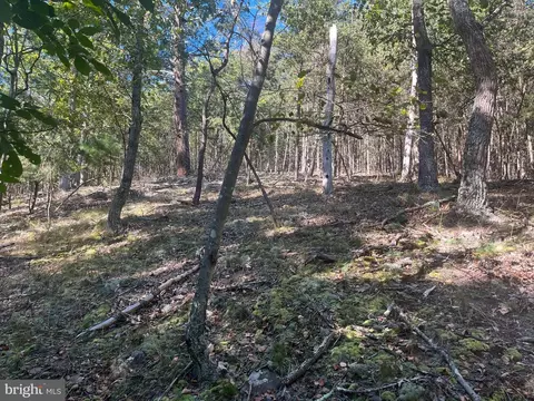 60 86 Roy Guinn Rd, Points, WV 25437 photo 14