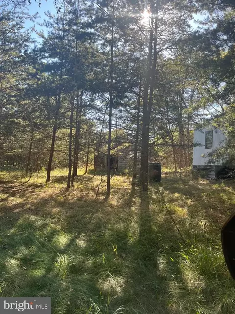 60 86 Roy Guinn Rd, Points, WV 25437 photo 20