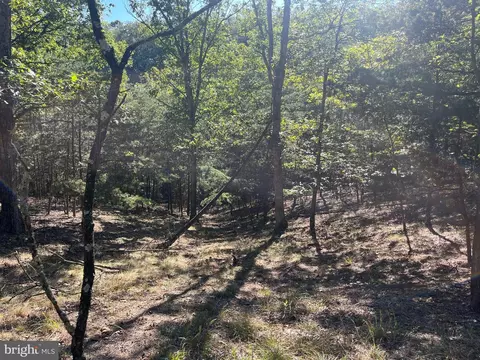 60 86 Roy Guinn Rd, Points, WV 25437 photo 8
