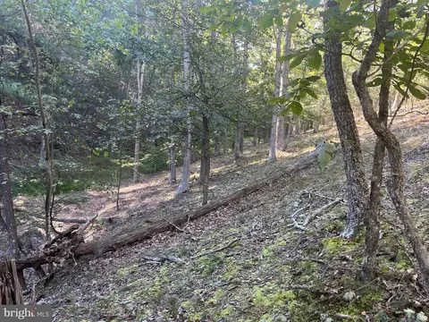 60 86 Roy Guinn Rd, Points, WV 25437 photo 13