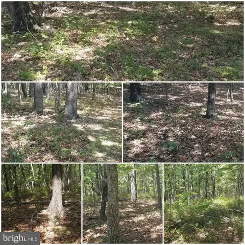 Lot 37, Augusta, WV 26704