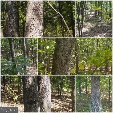 lot39 Sherman Dr, Augusta, WV 26704