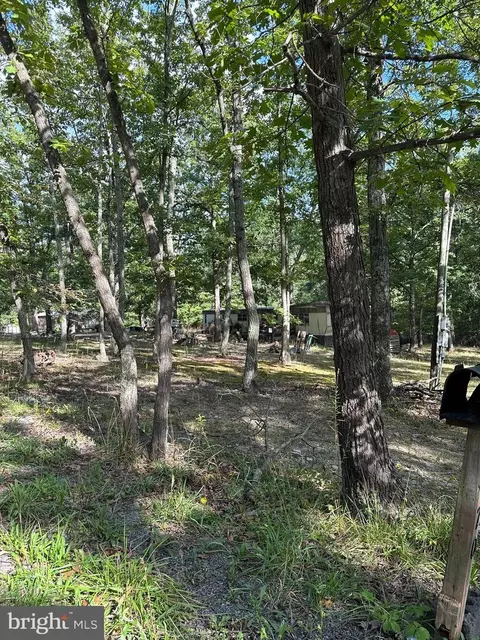 8926 Jersey Mountain Rd, Points, WV 25437 photo 16