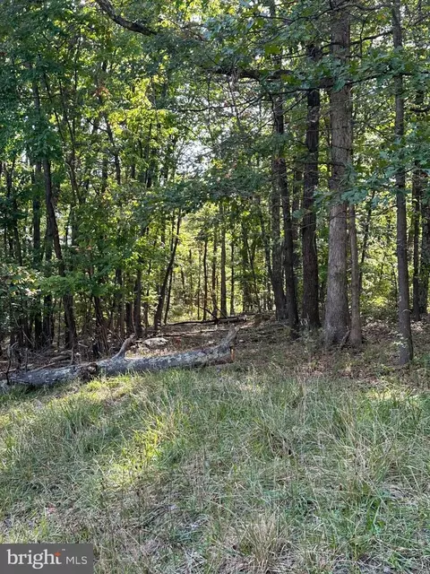 8926 Jersey Mountain Rd, Points, WV 25437 photo 19