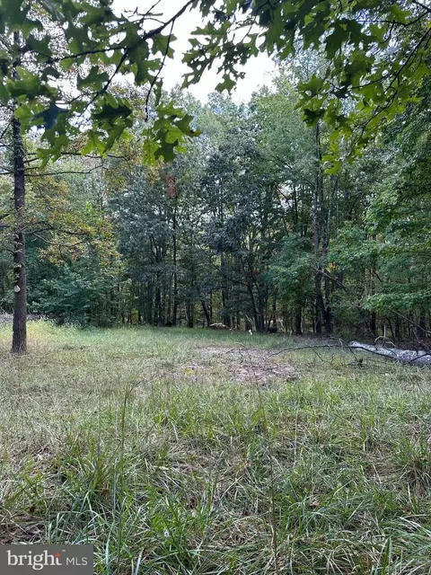 8926 Jersey Mountain Rd, Points, WV 25437 photo 5