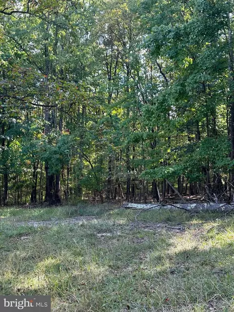 8926 Jersey Mountain Rd, Points, WV 25437 photo 18
