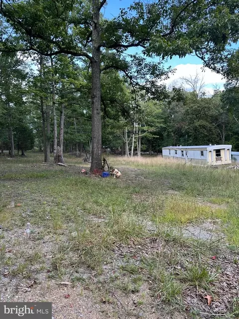 8926 Jersey Mountain Rd, Points, WV 25437 photo 10