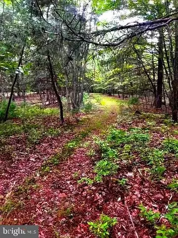 Lot 4 Silent Way, High View, WV 26808