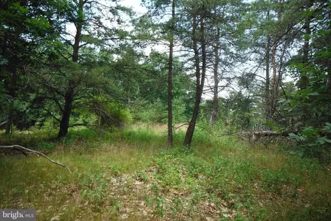 Oak Ridge, Springfield, WV 26763 photo 15
