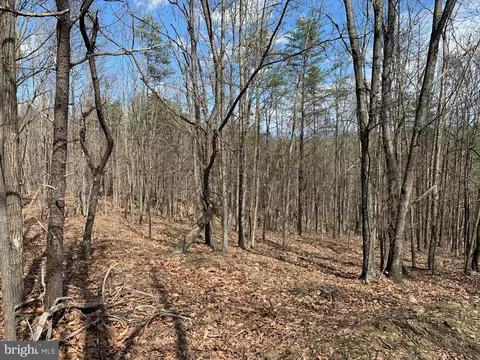 Oak Ridge, Springfield, WV 26763 photo 16