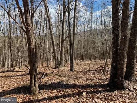 Oak Ridge, Springfield, WV 26763 photo 17