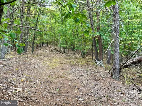 Oak Ridge, Springfield, WV 26763 photo 8