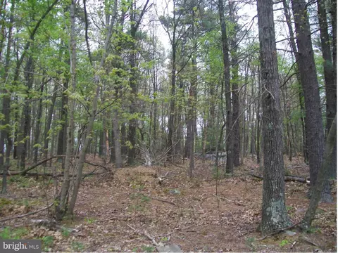 Tobacco Road, Augusta, WV 26704
