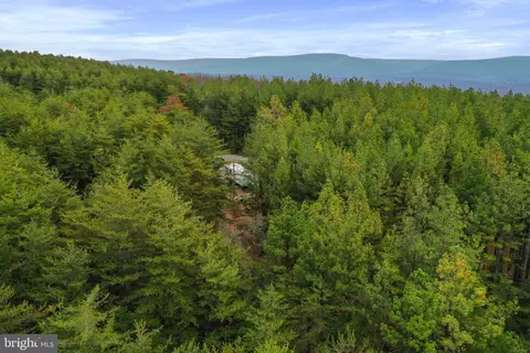 Reymann Drive, Yellow Spring, WV 26865 photo 22