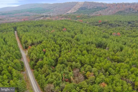 Reymann Drive, Yellow Spring, WV 26865 photo 17