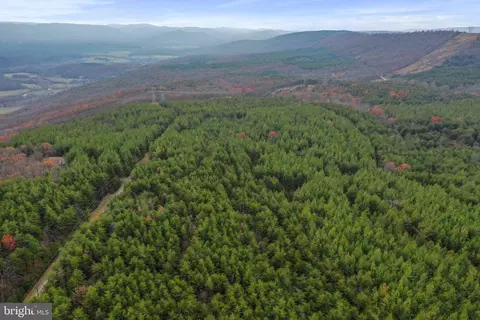Reymann Drive, Yellow Spring, WV 26865 photo 25