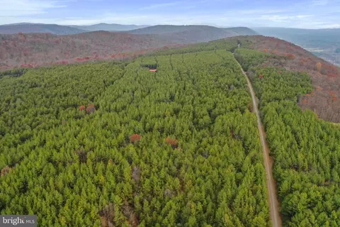 Reymann Drive, Yellow Spring, WV 26865 photo 13