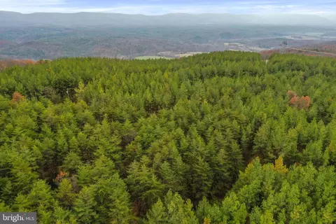 Reymann Drive, Yellow Spring, WV 26865 photo 19