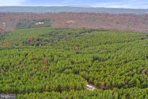 Reymann Drive, Yellow Spring, WV 26865 photo 16