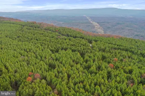 Reymann Drive, Yellow Spring, WV 26865 photo 11