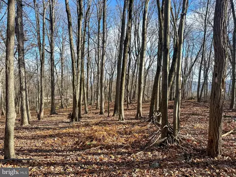 90 Core Rd, Romney, WV 26757 photo 19