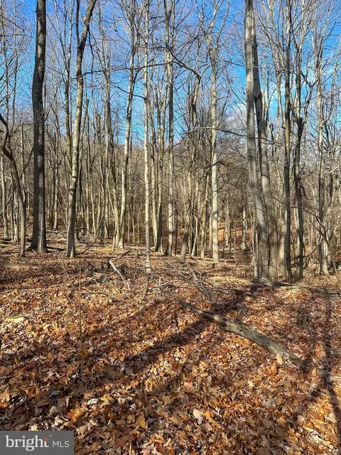 90 Core Rd, Romney, WV 26757 photo 9