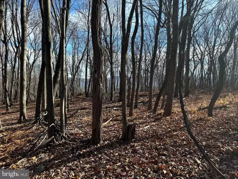 90 Core Rd, Romney, WV 26757 photo 20