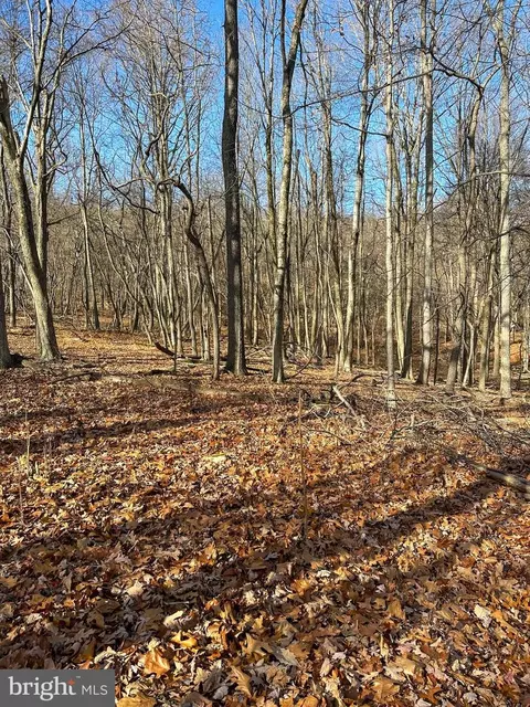 90 Core Rd, Romney, WV 26757 photo 8
