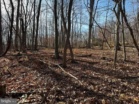 90 Core Rd, Romney, WV 26757 photo 22